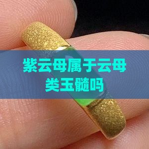 紫云母也属于玉髓吗