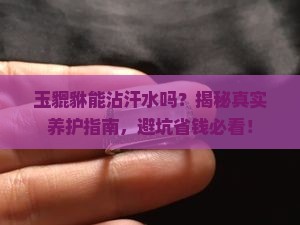 玉貔貅能沾汗水吗