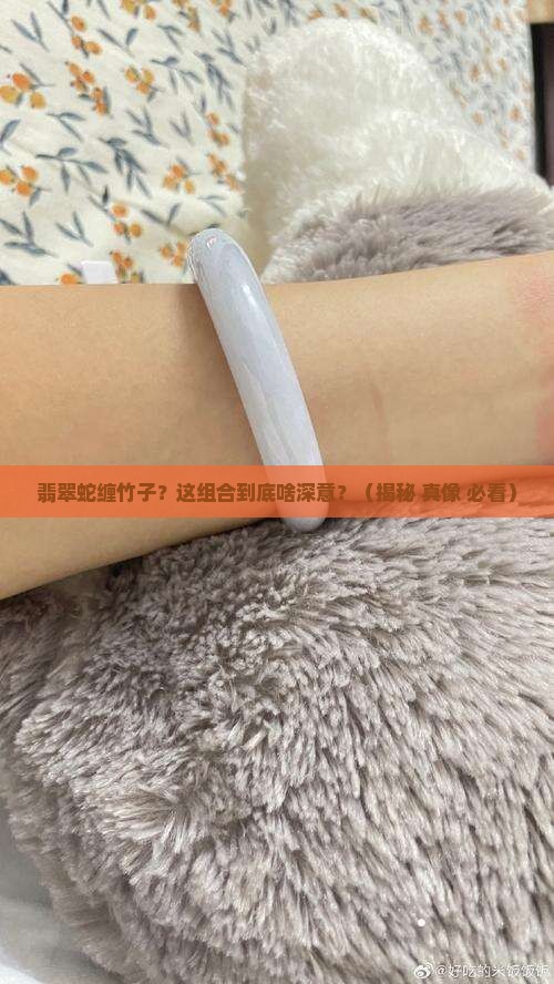 翡翠蛇和竹子寓意
