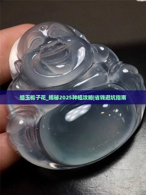 蜡玉栀子花