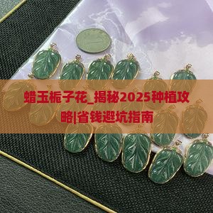 蜡玉栀子花