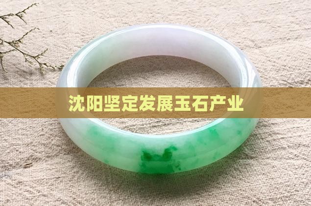 沈阳坚定发展玉石产业