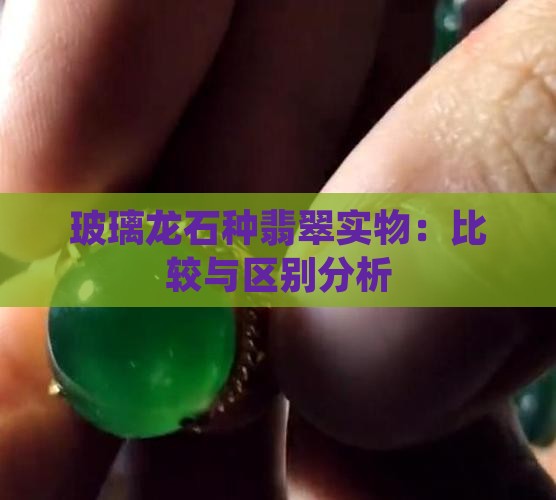 玻璃龙石种翡翠实物：比较与区别分析