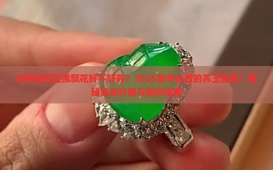 冰种翡翠玉佛飘花好不好养