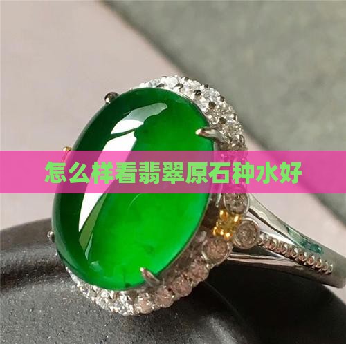 怎么样看翡翠原石种水好