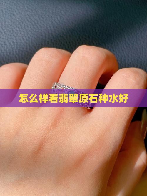 怎么样看翡翠原石种水好