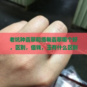 老坑种翡翠和缅甸翡翠