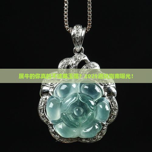 属牛的人不适合带玉镯