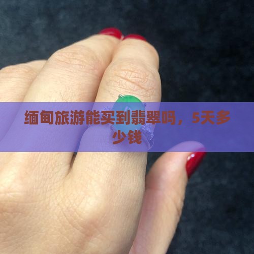 去缅甸旅游能买到玉石吗5天多少钱
