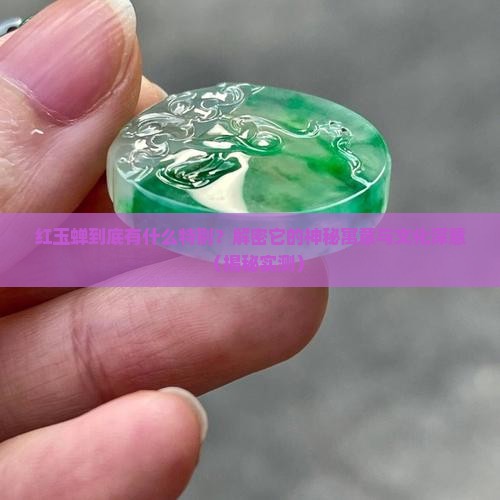红玉蝉的寓意