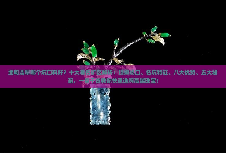 缅甸翡翠哪个坑口料好