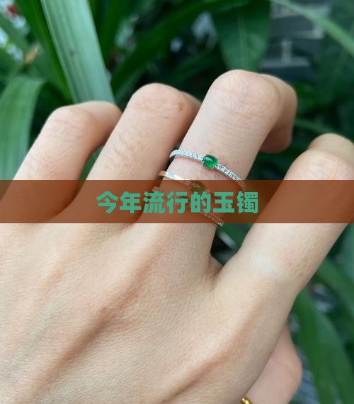 今年流行的玉镯