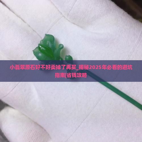 小翡翠原石好不好卖掉了再买