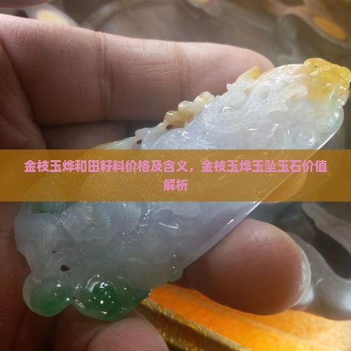 金枝玉烨和田籽料