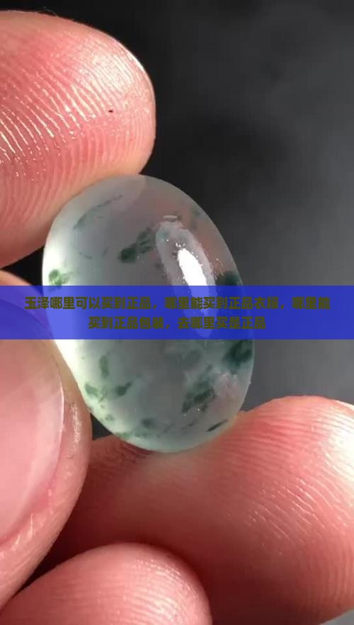 玉泽哪里可以买到正品