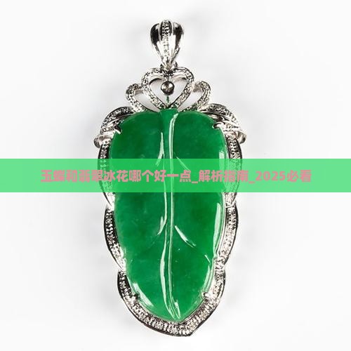 玉蝶和翡翠冰花哪个好一点