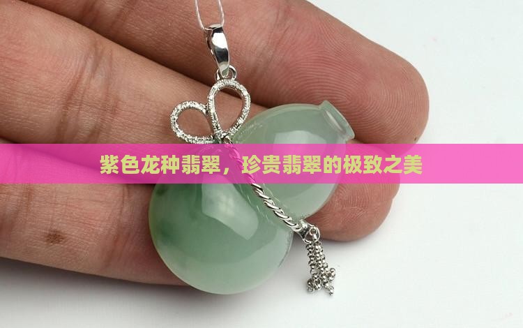 紫色龙种翡翠