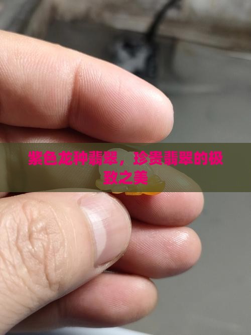 紫色龙种翡翠