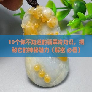 翡翠的特殊种类是什么
