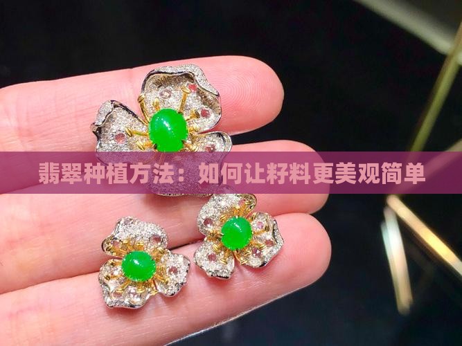 翡翠籽料怎么种植好看又简单的