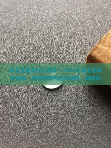 冰壶玉鉴是什么意思