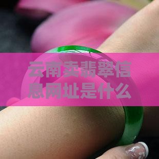 云南卖翡翠信息网址是什么