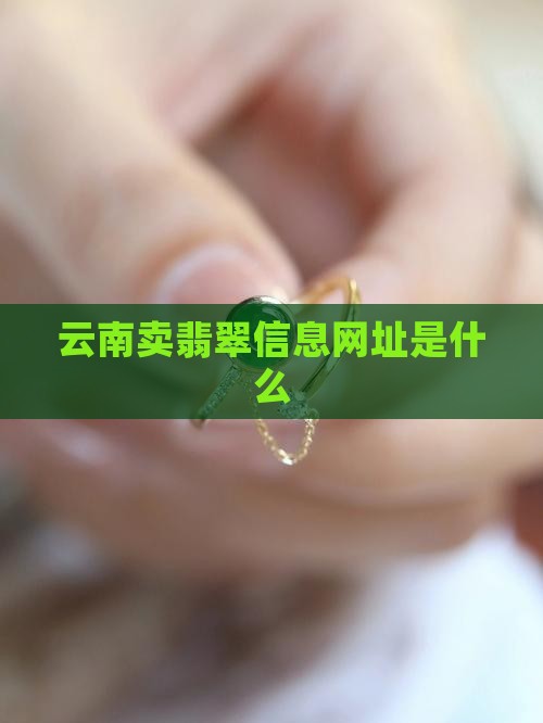 云南卖翡翠信息网址是什么