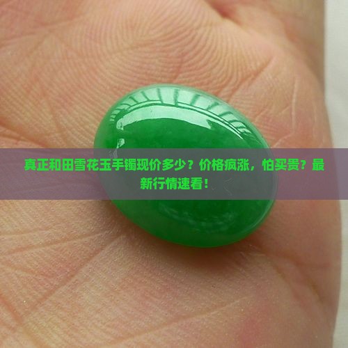 真正和田雪花玉手镯现价
