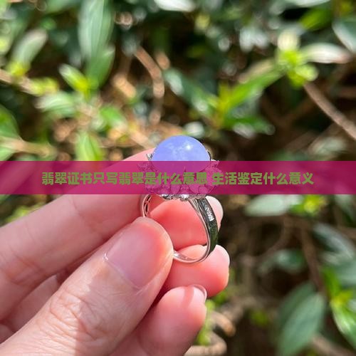 翡翠证书只写翡翠是什么意思
