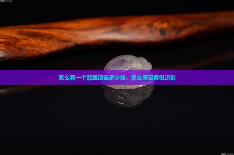 怎么看一个翡翠项链多少钱
