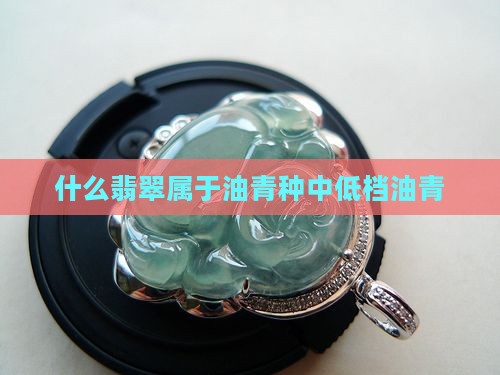 什么是油青绿翡翠