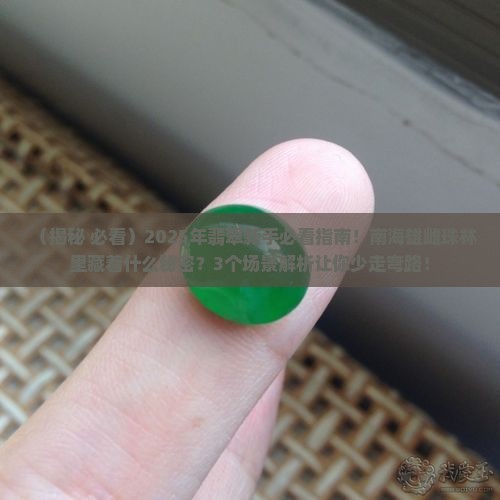 翡翠巢南海雄雌珠树林意思