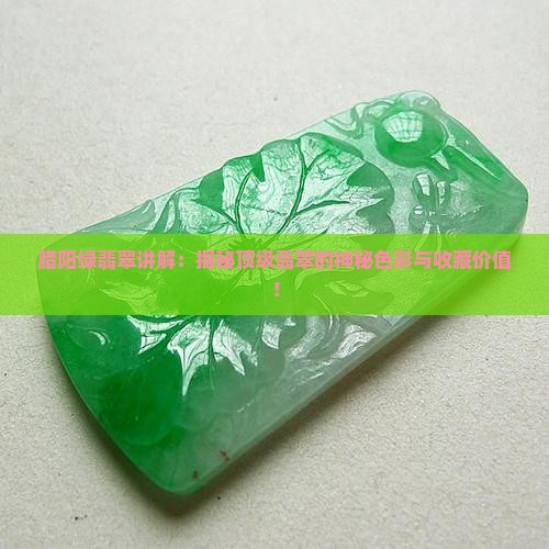 腊阳绿翡翠讲解