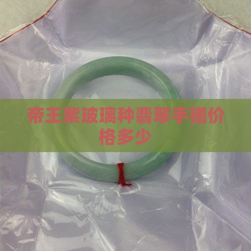 帝王紫玻璃种翡翠手镯多少钱