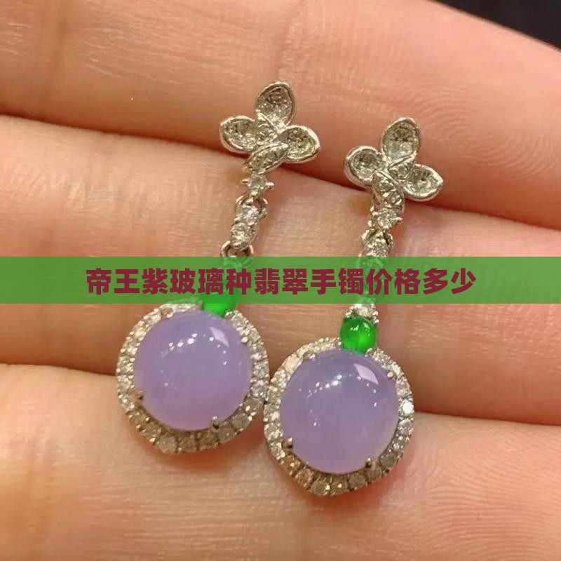 帝王紫玻璃种翡翠手镯多少钱
