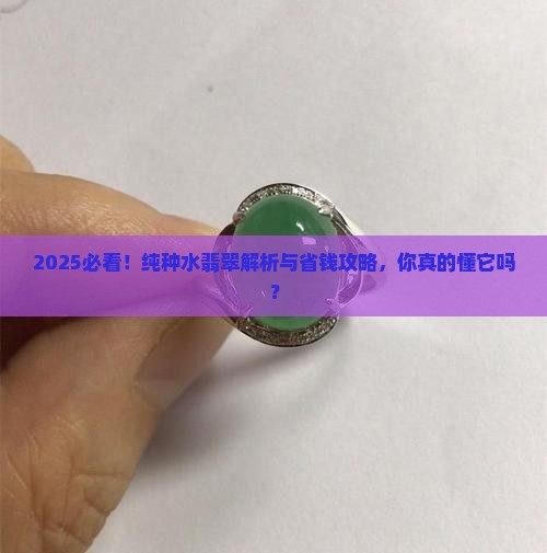 纯种水翡翠