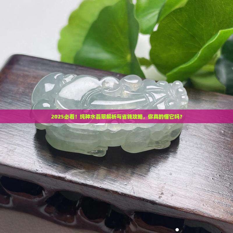 纯种水翡翠