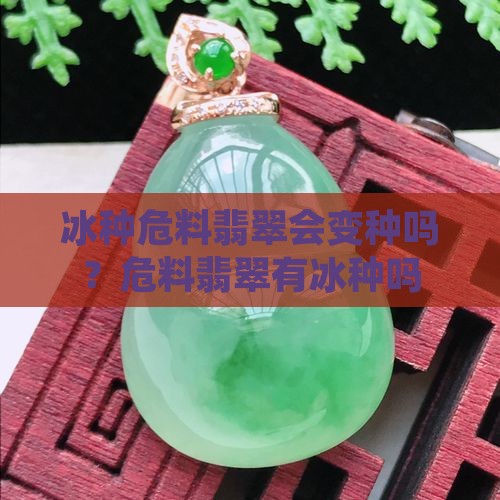 冰种危料翡翠会变种吗