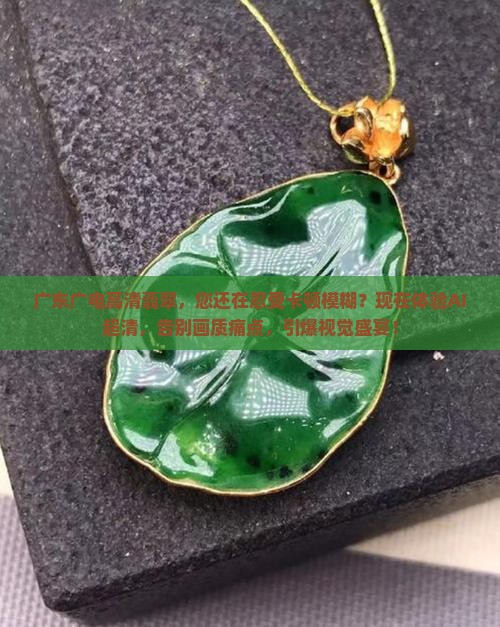 广东广电高清翡翠