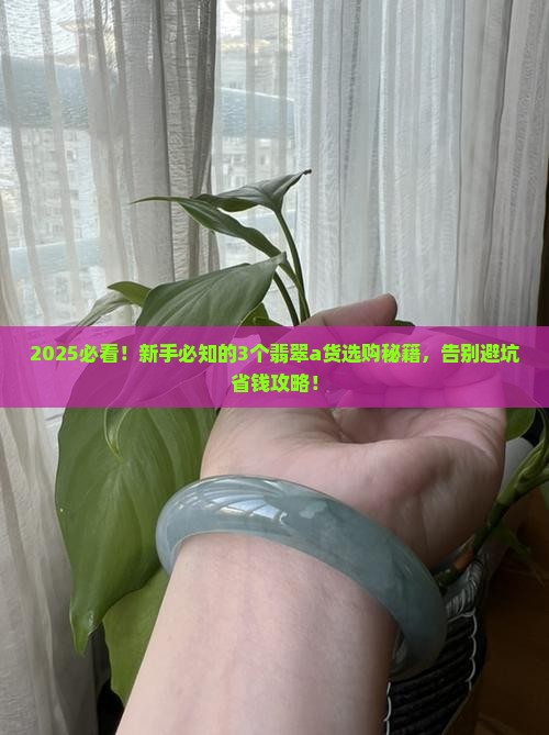 哪种a货翡翠最好