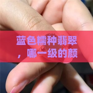 蓝色糯种翡翠颜色等级