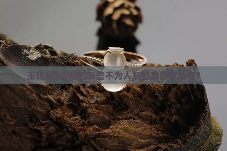 玉貔恘的寓意和象征