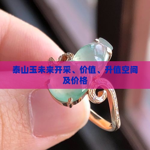 泰山玉未来
