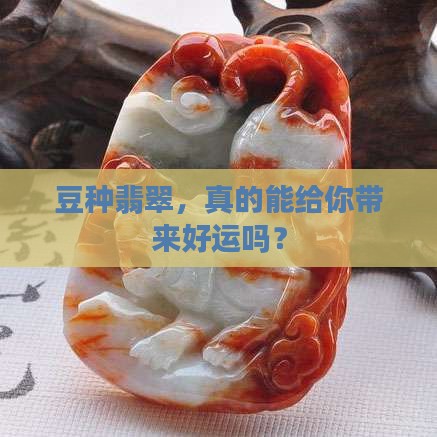 豆种翡翠养人吗