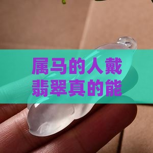 属马的佩戴翡翠避邪吗