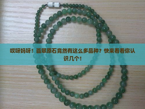 翡翠原石有什么品种