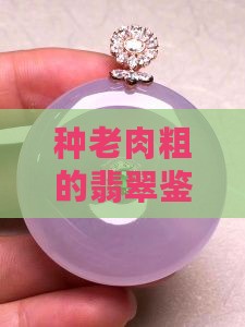 翡翠种老肉粗