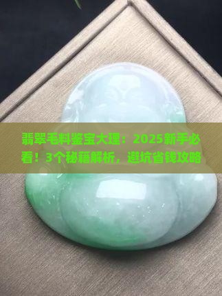翡翠毛料鉴宝大理