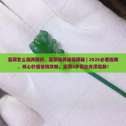 翡翠怎么能养得好