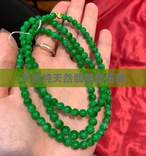 天然a货翡翠是玉嘛